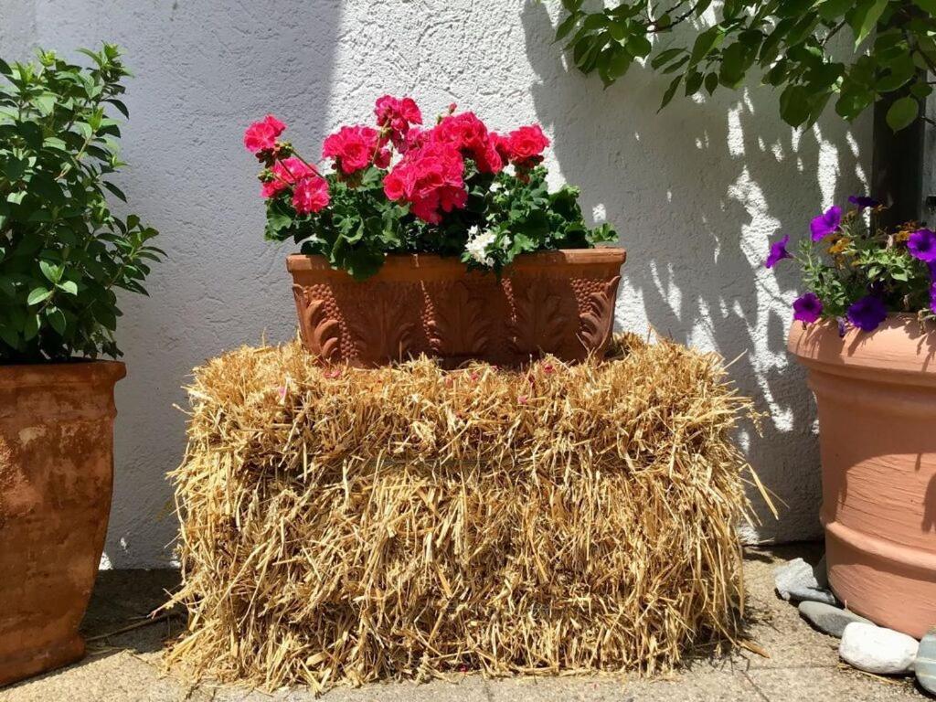 Vakantieappartement Holiday home *